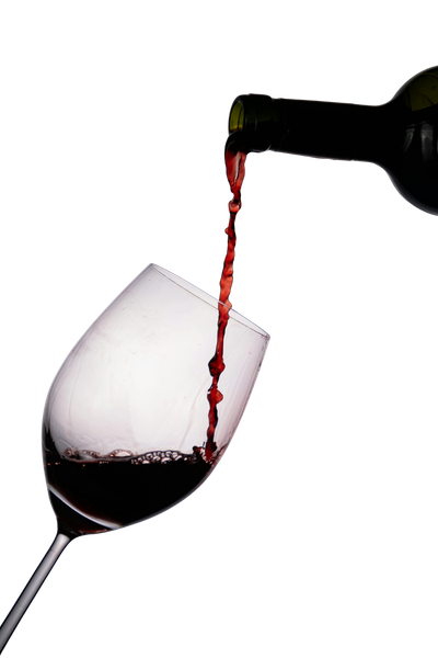 Untitled design (17)